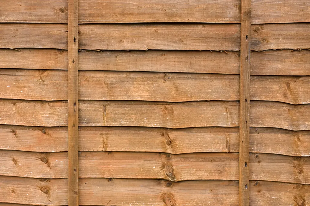 Fence Panels