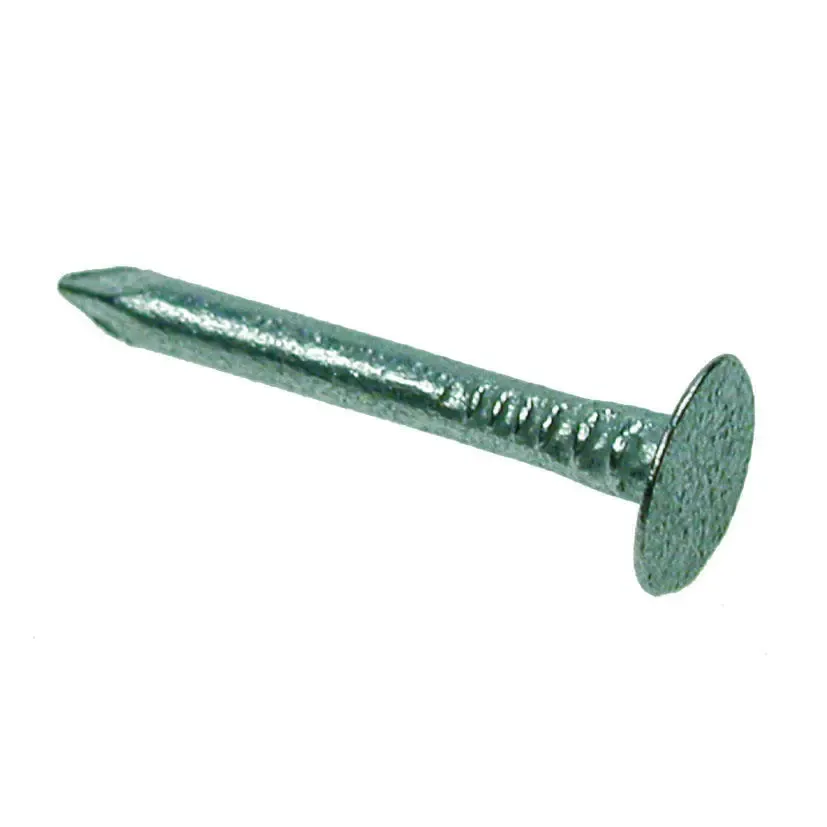 Extra Large Head Clout Nail, 40mm, Galvanised, 1/2kg