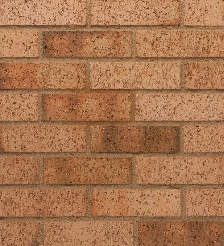 Wienerberger Terca Leamington Buff Multi Brick 65mm (Each)