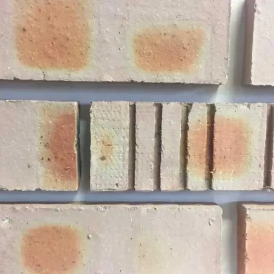 Raeburn 60N Clay Common Brick 65mm (Each)