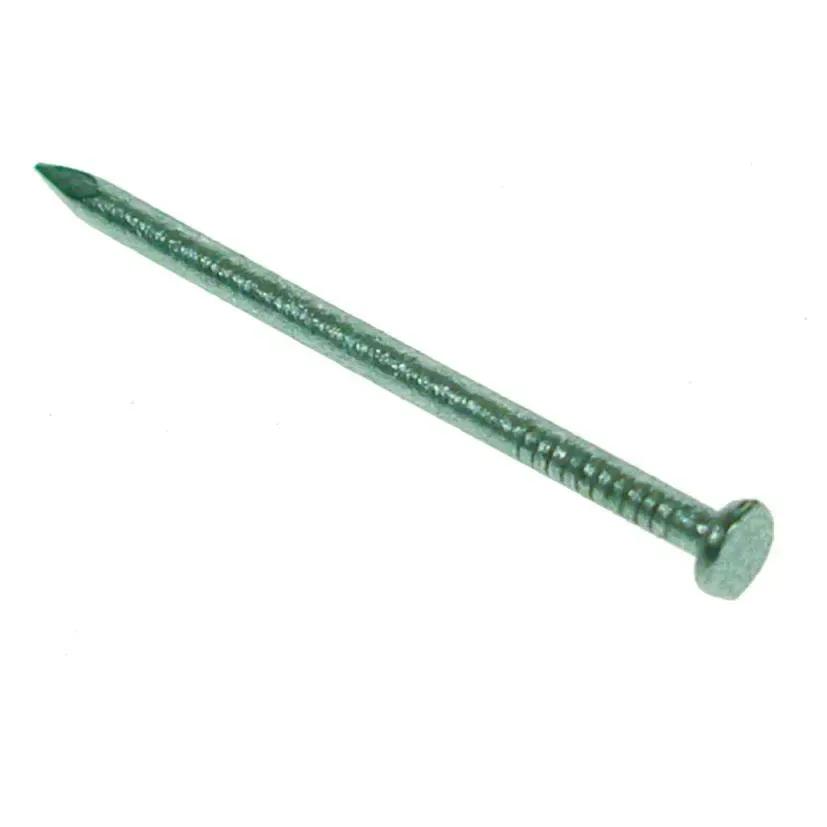 Galvanised Round Wire Nail, 100mm, 2 1/2kg
