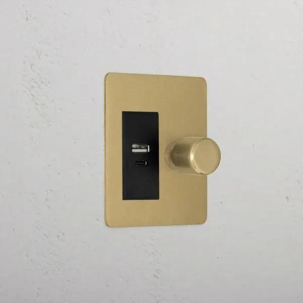 Corston 1G Two Way Dimmer + USB A+C Slimline Switch (Antique Black Brass)